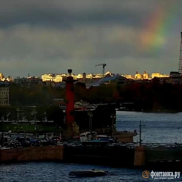 Источник: видовые камеры «Фонтанки»