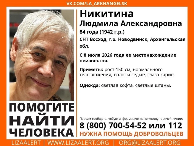 Источник: Поисковый отряд «ЛизаАлерт» Архангельской обл. / Vk.com