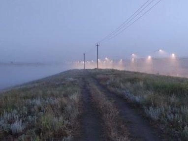 Свет фонарей придает снимкам мистический оттенок | Источник: читатели V1.RU