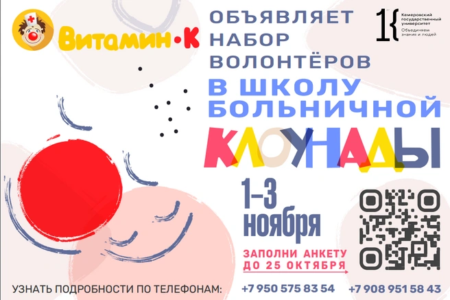 Источник: Школа больничной клоунады