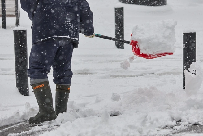 Снег очень важен для очистки грунта | Источник: Александр Ощепков / NGS.RU