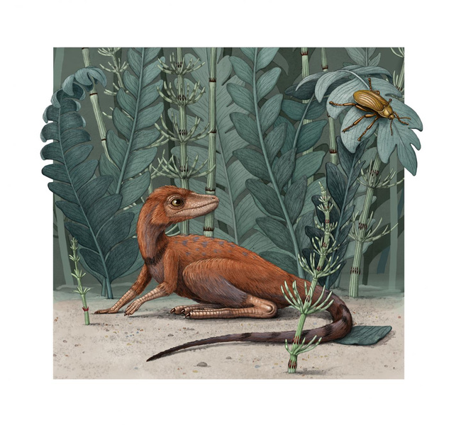 Обнаружен крошечный древний родственник динозавров и птерозавров