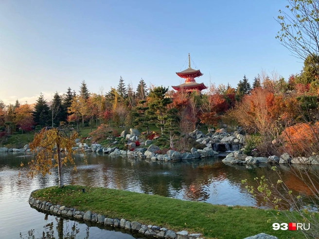 Пагода Тахото и зеркальный пруд в Японском саду | Источник: Виктор Дереза / 93.RU