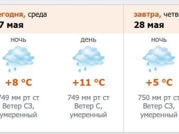 Скриншот прогноза погоды с сайта meteо.nw.ru