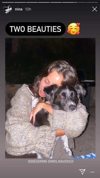 Милота дня: Нина Добрев и Пол Уэсли познакомили своих собак