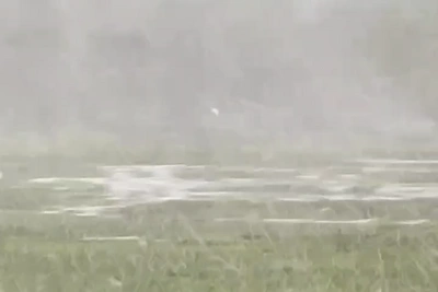 Волгоградскую область накрыл сильный буран: видео очевидцев