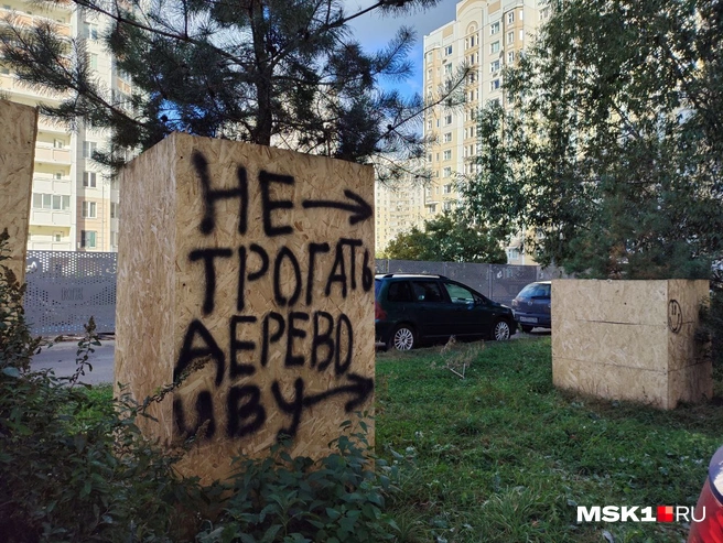 Источник: Александра Кудряшова / MSK1.RU