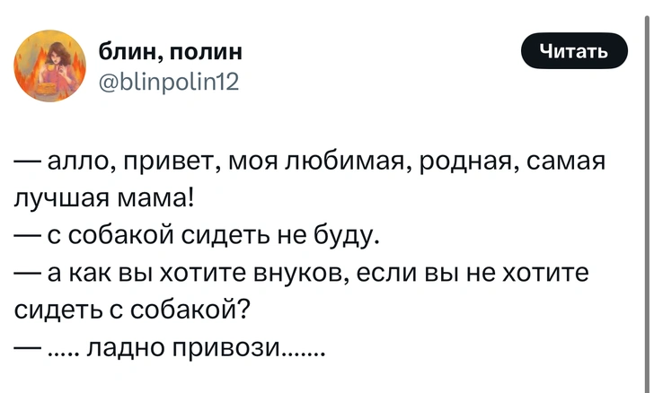 Источник: X (Twitter)
