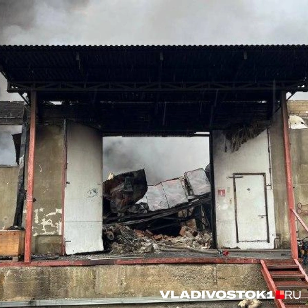 Источник: Елена Буйвол / VLADIVOSTOK1.RU