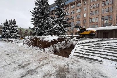 У Пермского Политеха окопали ели для ремонта стенок
