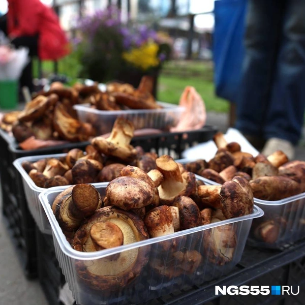 Коровников на рынке много | Источник: Евгений Софийчук / NGS55.RU