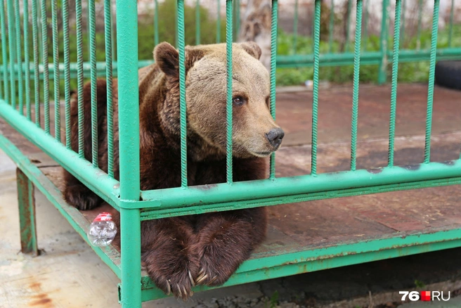 Взгляд у Маши такой осмысленный | Источник: Алёна Косточкина