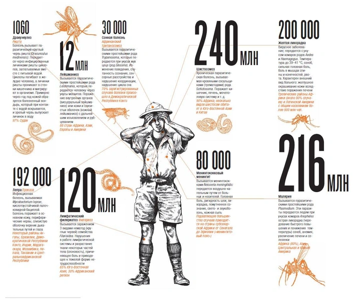 Зло под солнцем: что такое тропическая медицина и какие болезни представляют наибольшую угрозу для путешественников