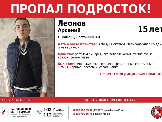 Источник: Александр Ощепков / NGS.RU