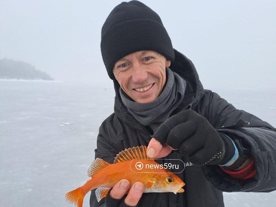 В Соликамске поймали золотую рыбку: счастливый рыбак показал фото, но желание не раскрыл