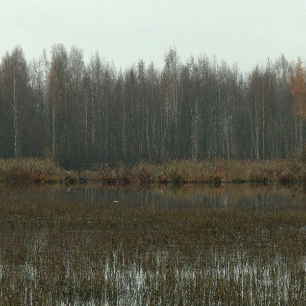 Источник: Авторский канал Павла Глазкова о жизни животных