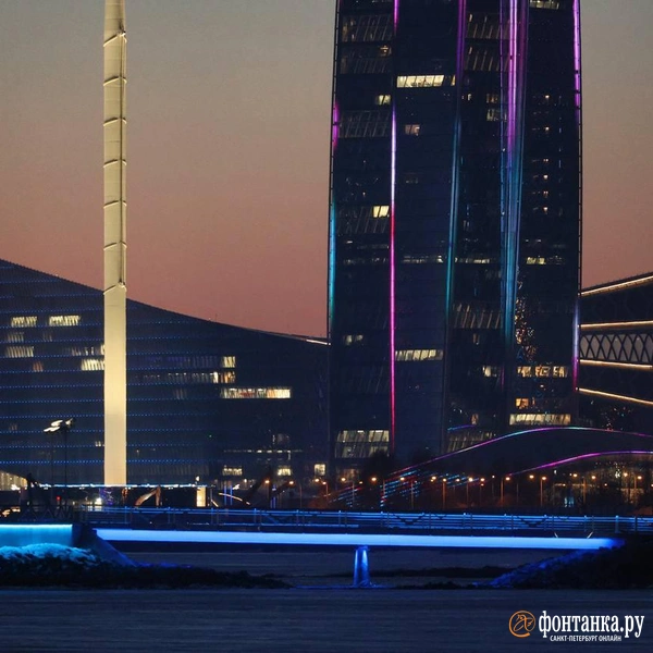 Источник: Сергей Михайличенко / «Фонтанка.ру»