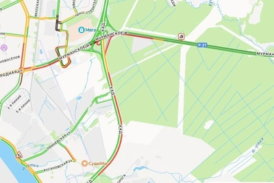 Под Петербургом в ДТП с грузовиком сгорел Ford