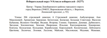 Источник: избирательная комиссия Воронежской области / voronezh.izbirkom.ru