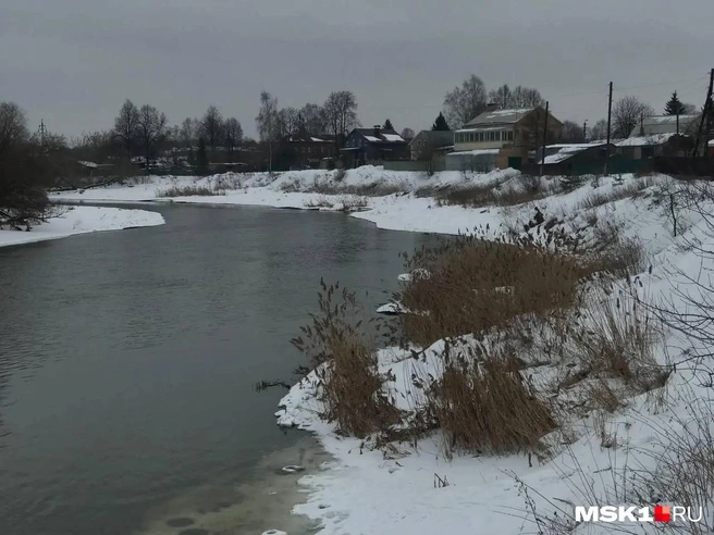 Ребенок сам пошел к Клязьме и упал в воду | Источник: Вера Борисова / MSK1.RU