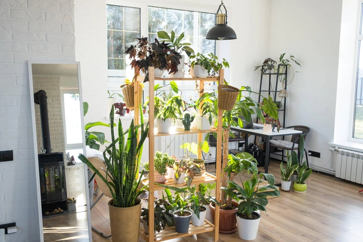 Источник: Legion Media