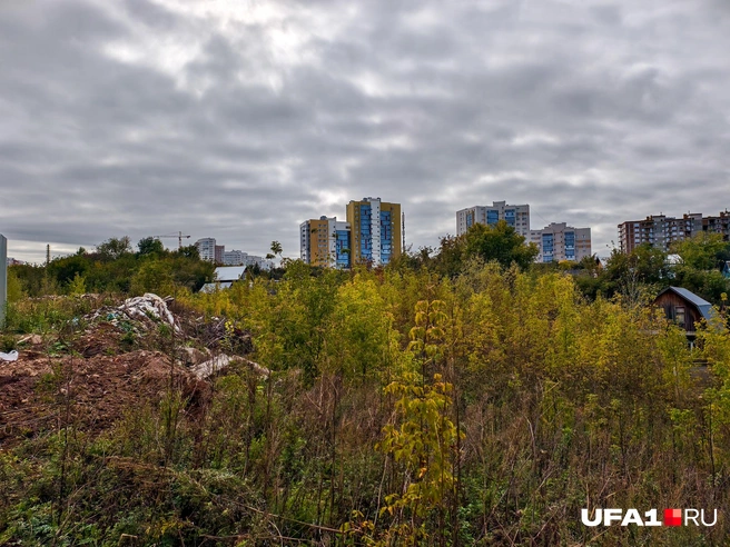 Это вид в другую сторону, там улица Сун-Ят-Сена | Источник: Булат Салихов / UFA1.RU
