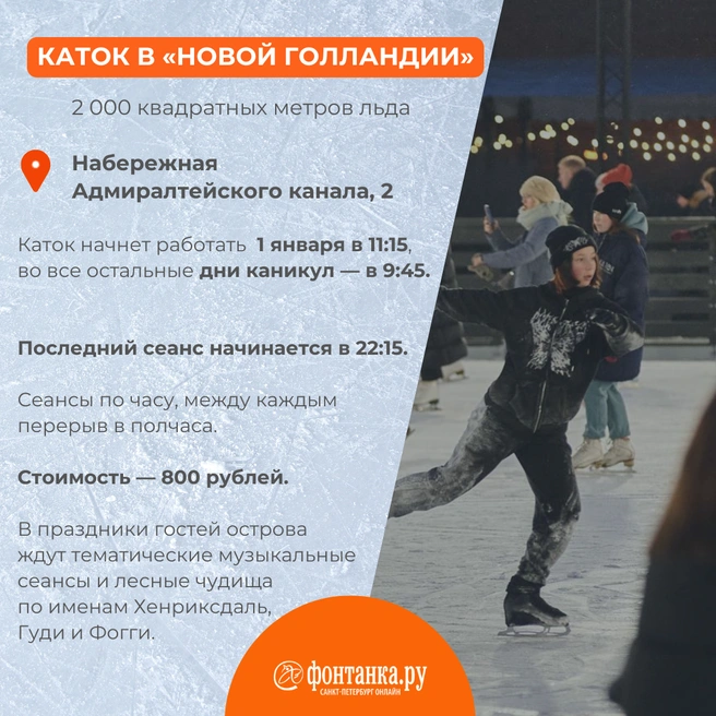 Источник: Светлана Григошина / «Фонтанка.ру»