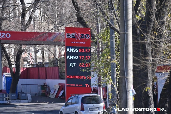 Источник: Елена Буйвол / VLADIVOSTOK1.RU