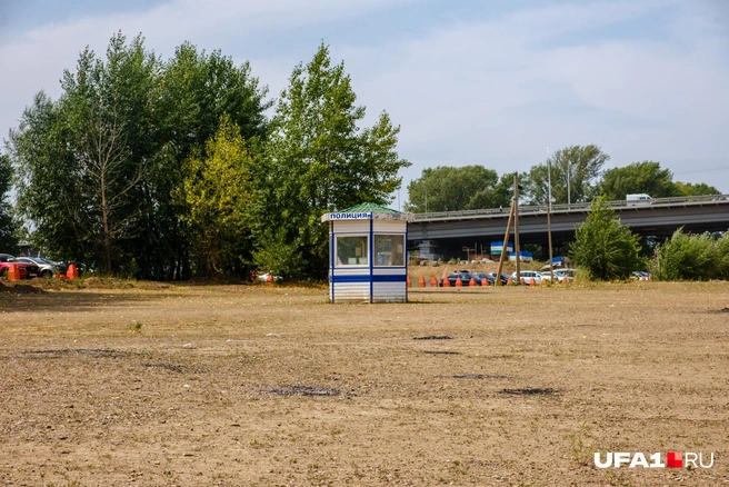 С наличием деревьев не поспоришь