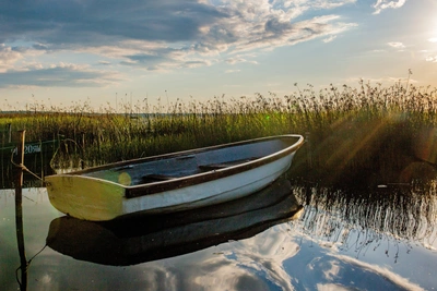 Прогноз лета 2026 для Барнаула: теплый август