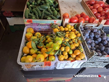 Источник: Алёна Воропаева / Voronezh1.ru