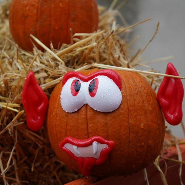 Источник: Unsplash