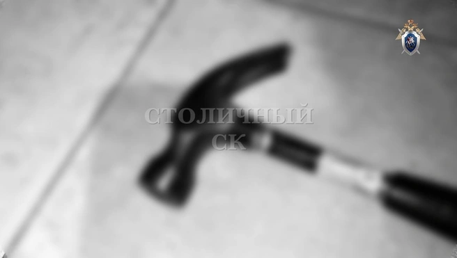 Источник: Столичный СК / T.me