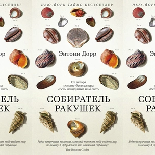 5 главных книжных новинок октября