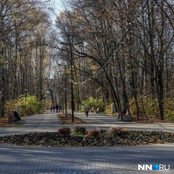 Прогулочные дорожки | Источник: Наталья Бурухина / NN.RU