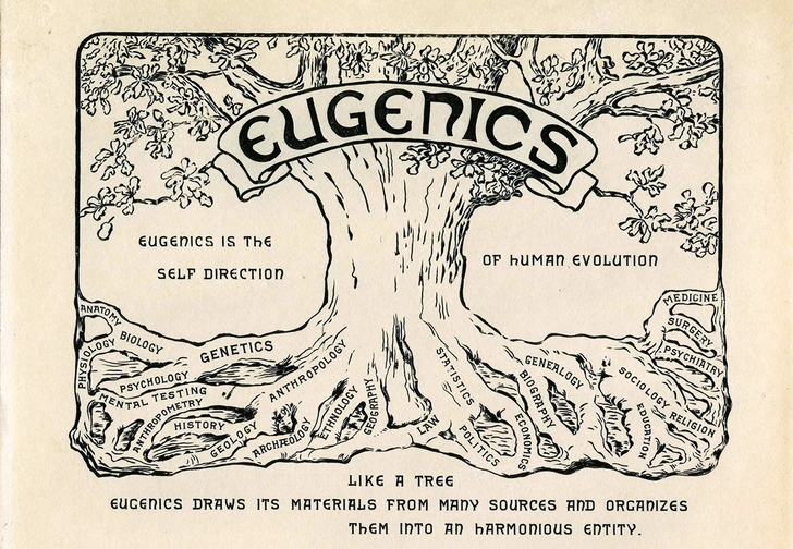 Как человечество себя из себя выводило: история евгеники
