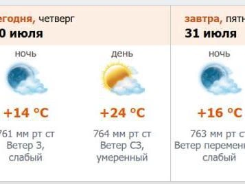 Скриншот с портала метеослужбы Северо-Запада (meteo.nw.ru)