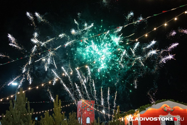 Источник: Елена Буйвол / VLADIVOSTOK1.RU
