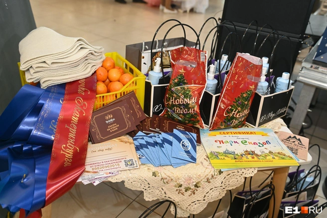 Источник: Дмитрий Емельянов / E1.RU