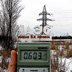 Фото №1 - Чернобыль не стал процветающей экосистемой