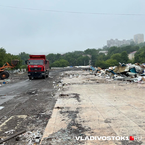 Источник: Елена Буйвол / VLADIVOSTOK1.RU
