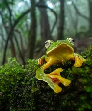 Москвичи выберут лучшие фотографии дикой природы конкурса «Золотая черепаха»