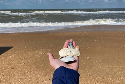 Жители Дона о проблемах Азовского моря