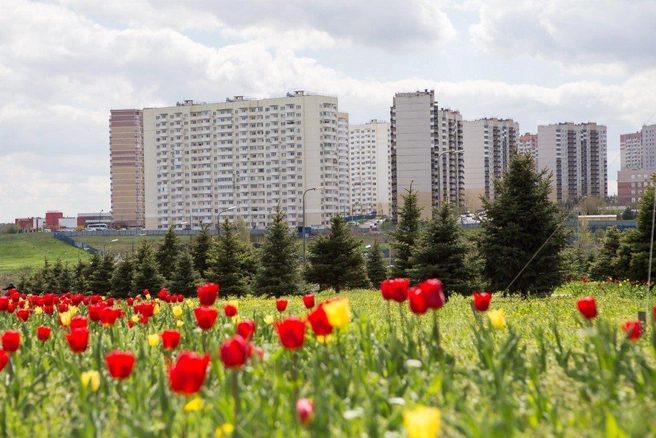 Источник: ВКБ Новостройки