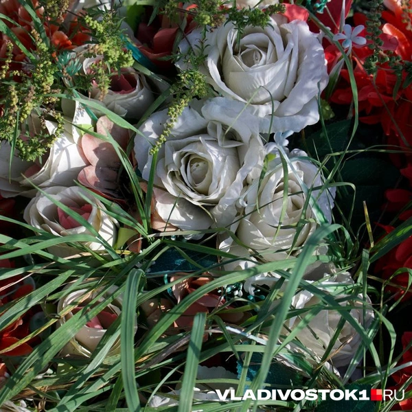 Источник: Елена Буйвол / VLADIVOSTOK1.RU