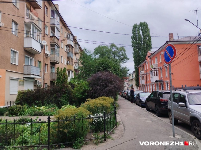 Источник: Дмитрий Волгин / Voronezh1.ru