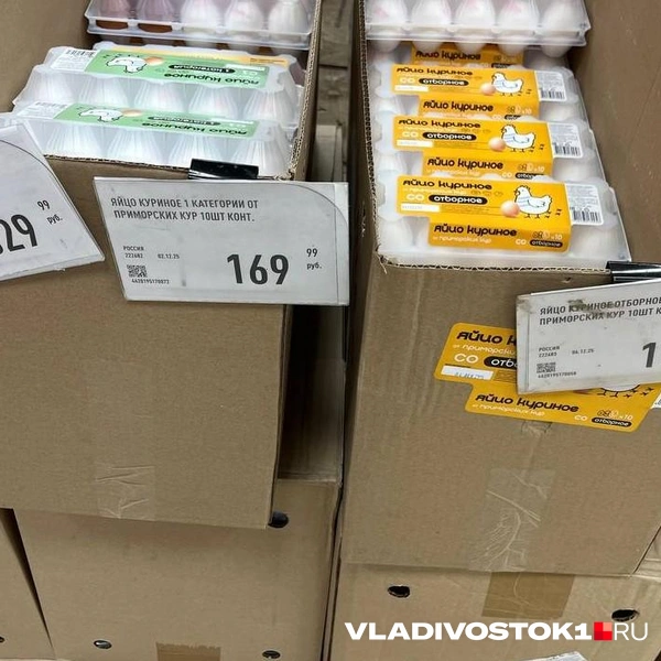 Источник: Елена Буйвол / VLADIVOSTOK1.RU