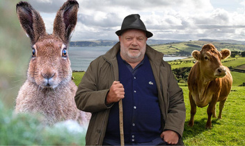 Почему ирландцы считали зайцев порождением зла