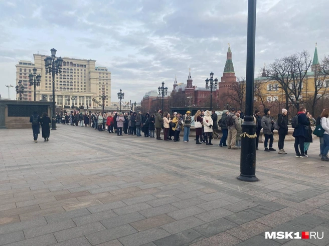 Источник: Елена Халматова / MSK1.RU