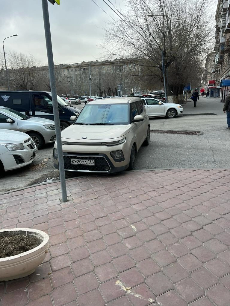 В Волгограде на борьбу с автохамами вышли «народные мстители» - 25 ноября  2023 - V1.ру